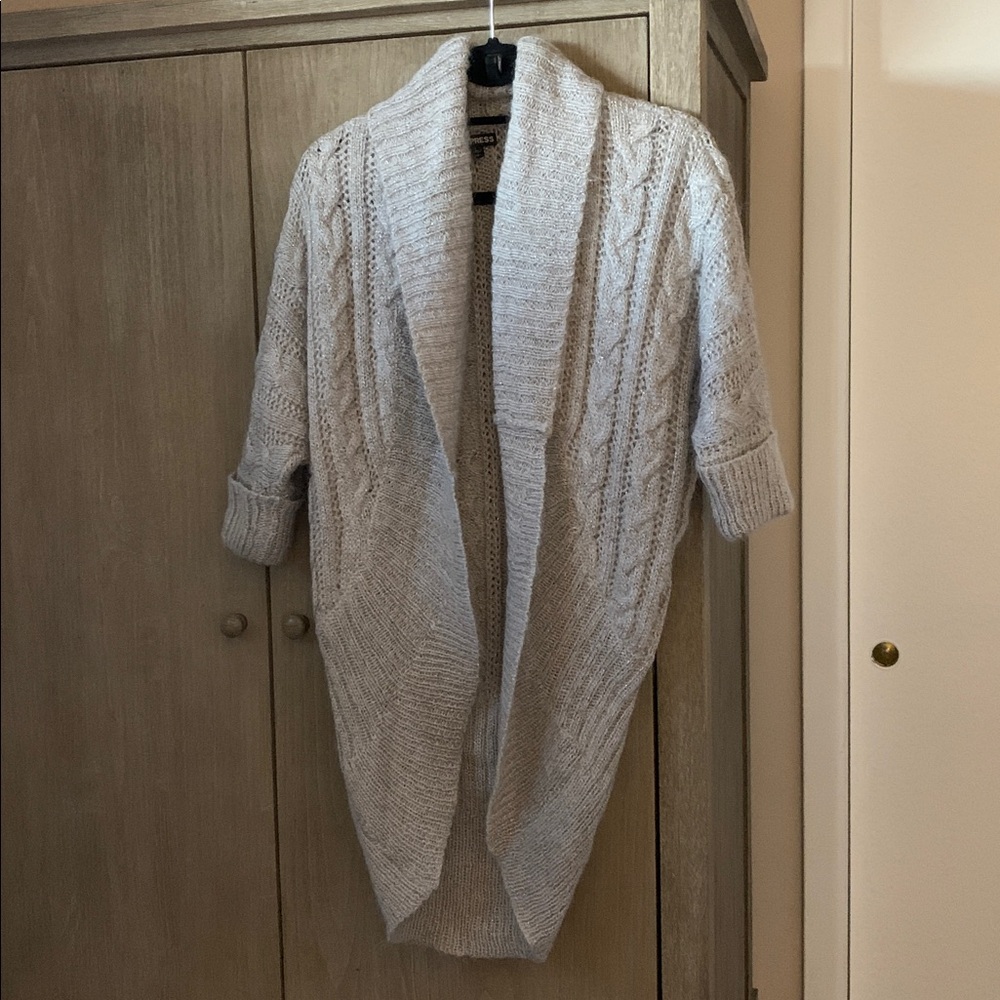 Express Silver Knit Sweater